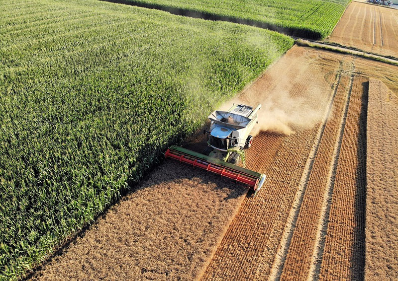 GMAO para el mantenimiento agroalimentario – Ejemplo de Malteurop