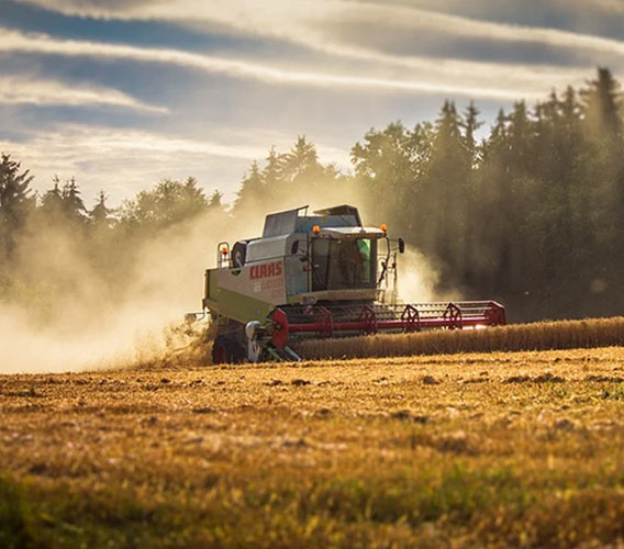 Industria alimentaria | GMAO